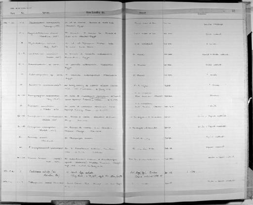 Bertiella studeri (Blanchard, 1891) - Zoology Accessions Register: Platyhelminth: 1971 - 1981: page 82