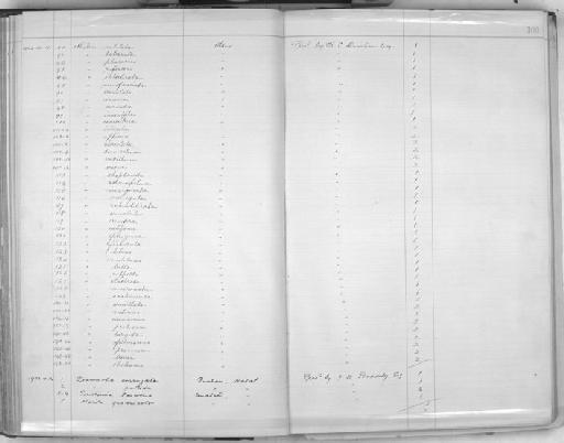 Mitra crenulata - Zoology Accessions Register: Mollusca: 1900 - 1905: page 108
