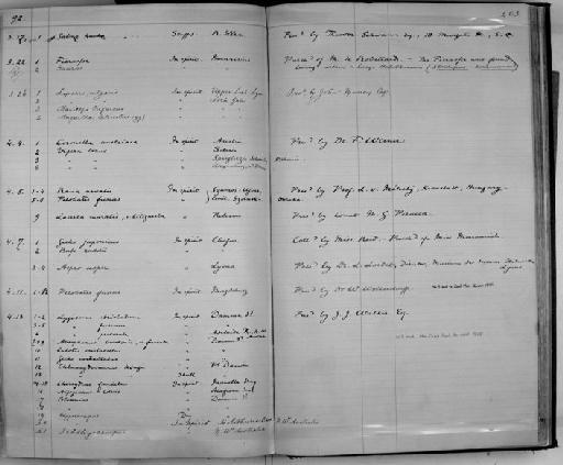 Ichthyocampus sp - Zoology Accessions Register: Reptiles & Fishes: 1878 - 1892: page 403