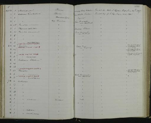 Crucilobiceras densinodum (Quenstedt) - NHM-UK_P_DF118_06_29_0133