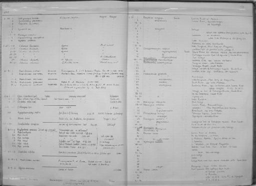 Myrophis uropterus - Zoology Accessions Register: Fishes: 1971 - 1985: page 133