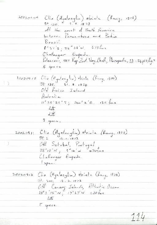 Clio (Hyalocylix) striata (Rang, 1828) - Zoology Accessions Register: Mollusca: 2002: page 114