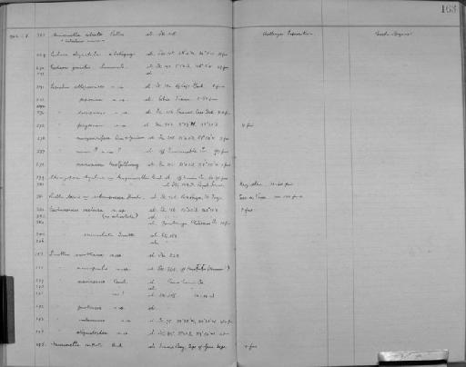 Cigclisula buski Almeida, Souza, Menegola, Sanner & Vieira, 2014 - Zoology Accessions Register: Bryozoa: 1922 - 1949: page 163