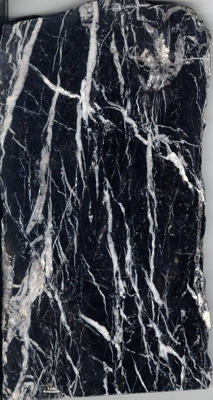 Buchan veined marble - e11272.tif