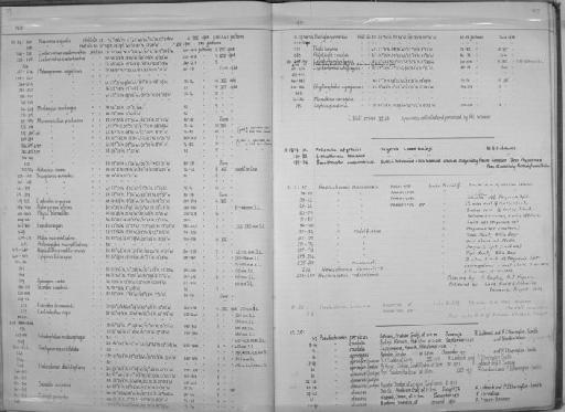 Echiodon drummondii Thompson, 1837 - Zoology Accessions Register: Fishes: 1971 - 1985: page 80