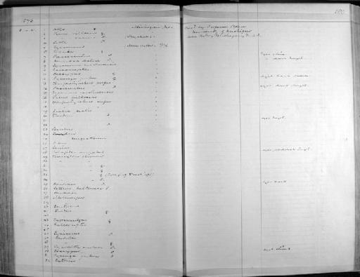 Cyanocitta cristata bromia Oberholser, 1921 - Zoology Accessions Register: Aves (Skins): 1874 -1880: page 180