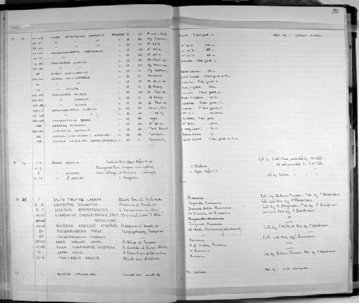 Tilapia heudelotii macrocephala - Zoology Accessions Register: Fishes: 1961 - 1971: page 50