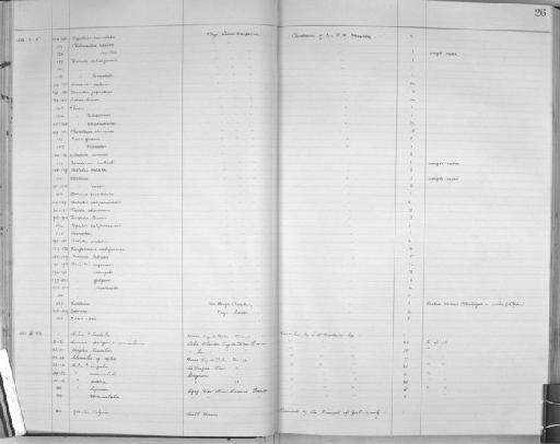 Helix virgata subterclass Tectipleura (da Costa, 1778) - Zoology Accessions Register: Mollusca: 1925 - 1937: page 26