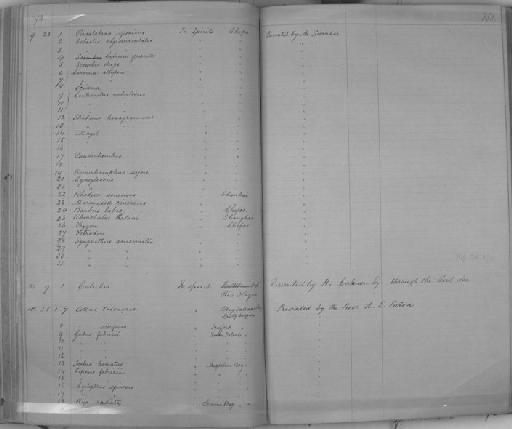 Pseudorhombus swinhonis Günther, 1873 - Zoology Accessions Register: Reptiles & Fishes: 1864 - 1877: page 350