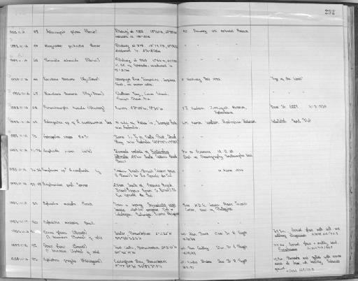 Astropecten vappa Muller & Troschel, 1843 - Zoology Accessions Register: Echinodermata: 1935 - 1984: page 292