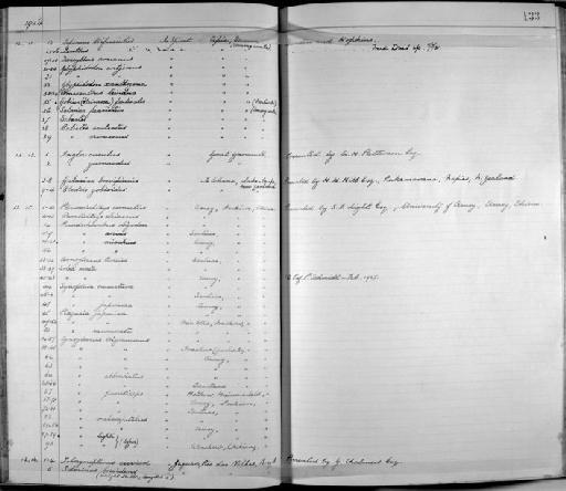 Arnoglossus tenuis Günther, 1880 - Zoology Accessions Register: Fishes: 1912 - 1936: page 133