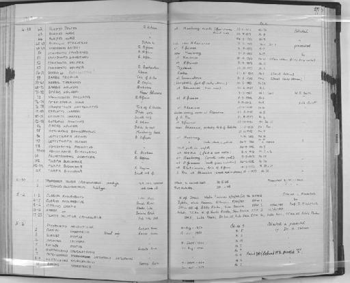 Chromidotilapia guntheri (Sauvage, 1882) - Zoology Accessions Register: Fishes: 1961 - 1971: page 177