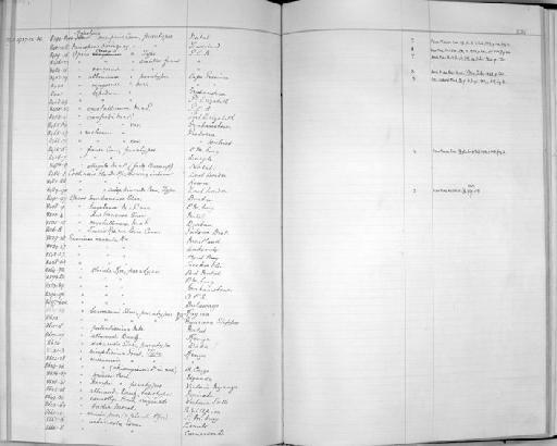 Succinea alluaudi subterclass Tectipleura Dautzenberg, 1908 - Zoology Accessions Register: Mollusca: 1925 - 1937: page 281