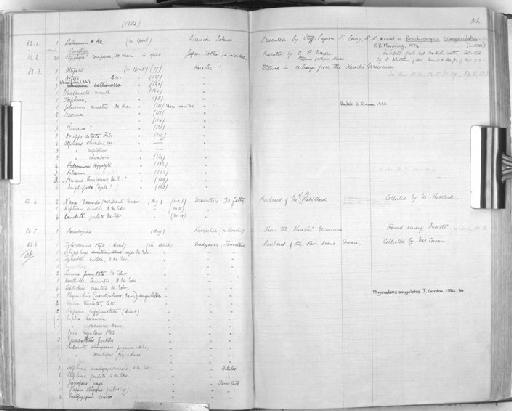 Palaemon ornatus Olivier - Zoology Accessions Register: Crustacea: 1876 - 1905: page 51