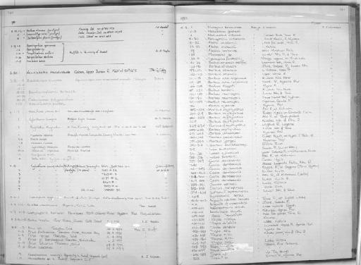 Arius cf satparanus - Zoology Accessions Register: Fishes: 1971 - 1985: page 281