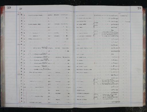 Pelosina cylindrica Brady, 1884 - NHM-UK_P_DF118_04_16_0145