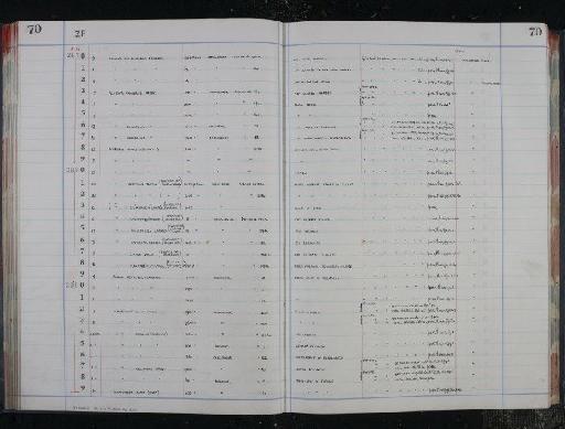 Pavonina flabelliformis Orbigny, 1826 - NHM-UK_P_DF118_04_16_0145