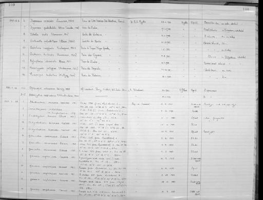 Gonaxia ampulacea Vervoort, 1993 - Zoology Accessions Register: Coelenterata: 1981 - 1992: page 160