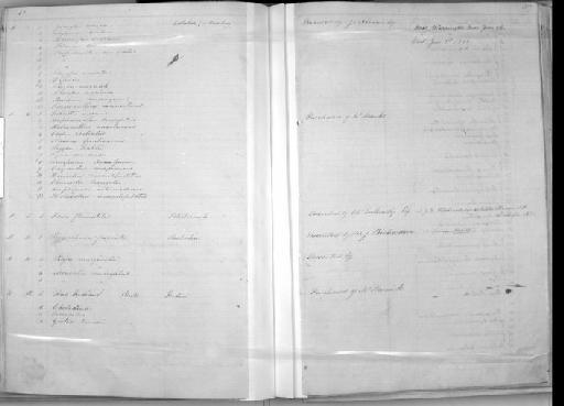 Amphiprion intermedium - Zoology Accessions Register: Mammals: 1850 - 1853: page 387