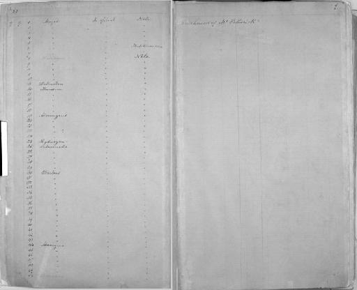 Distichodus rostratus Günther, 1864 - Zoology Accessions Register: Mammals: 1861 - 1890: page 1