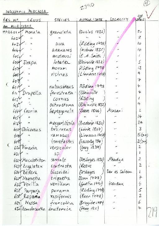 Vexilla vexillum (Gmelin, 1791) - Zoology Accessions Register: Mollusca: 1986 - 1993: page 219