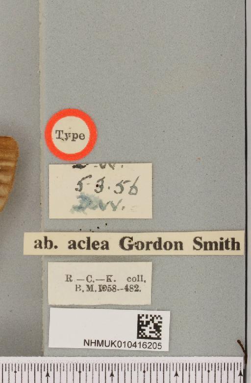 Arctia caja ab. aclea Smith, 1957 - NHMUK_010416205_a_label_528507