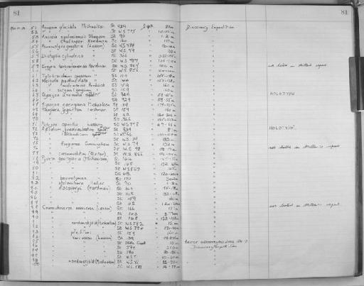 Sycozoa anomala Millar, 1960 - Zoology Accessions Register: Protochordata & other groups: 1922 - 1993: page 81