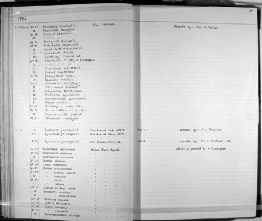 Pseudobalistes fuscus (Bloch & Schneider, 1801) - Zoology Accessions Register: Fishes: 1961 - 1971: page 21