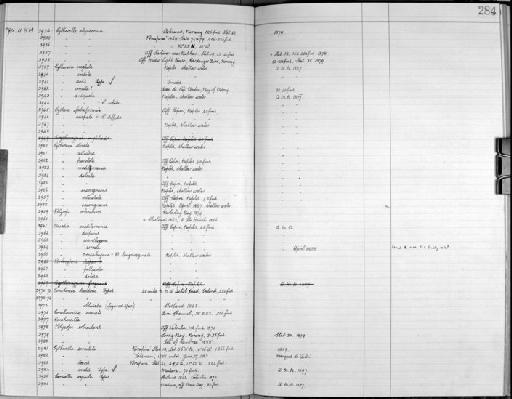 Cytherura cornuta Brady, 1867 - Zoology Accessions Register: Crustacea - Norman Collection: 1911: page 284