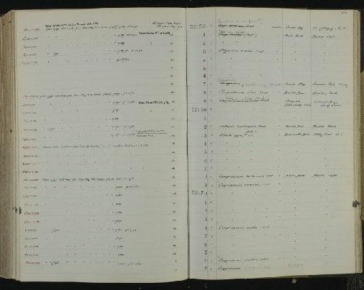 Clupeidarum altus Frost, 1933 - NHM-UK_P_DF118_03_12_0475