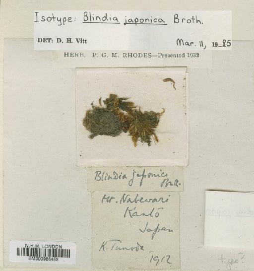 Blindia japonica Broth. - BM000965453