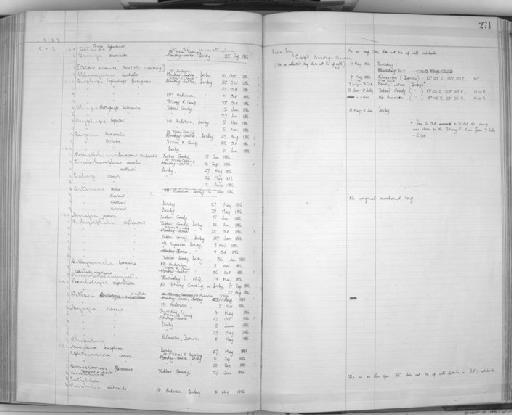 Cinclorhamphus cruralis - Zoology Accessions Register: Aves (Skins): 1884 -1888: page 271