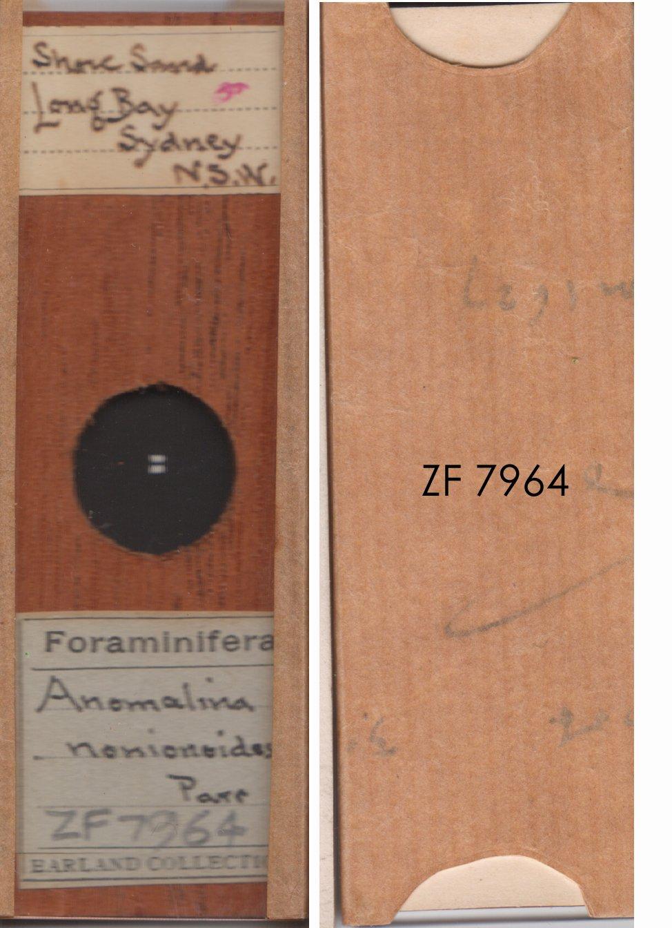 To NHMUK collection (Anomalina nonionoides Parr, 1932; NHMUK:ecatalogue:9055486)