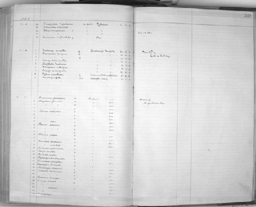 Muscicapa adusta adusta - Zoology Accessions Register: Aves (Skins): 1884 -1888: page 349