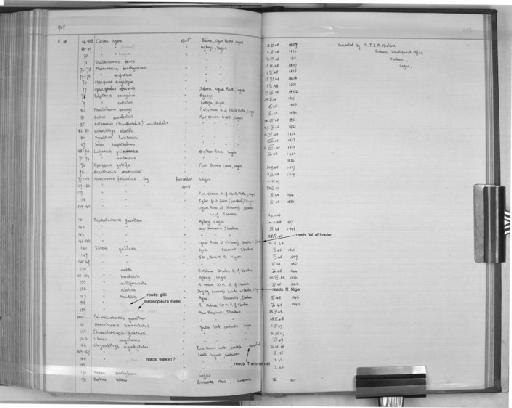 Tilapia melanopleura meeki - Zoology Accessions Register: Fishes: 1937 - 1960: page 213