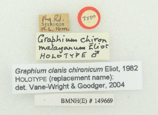 Graphium bathycles malayanum ELiot - Graphium chironides malayanum Eliot HOLOTYPE labels