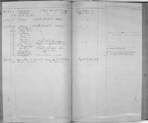 Sarcophyton Lesson, 1834 - Zoology Accessions Register: Coelenterata & Anthozoa: 1884 - 1934: page 104