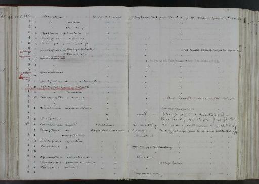 Neuropteris heterophylla (Brongniart) Sternberg, 1825 - NHM-UK_P_DF118_02_66_0131