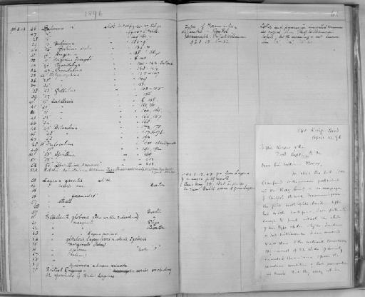 Polymorphina - Zoology Accessions Register: Spongiida & Protozoa: 1887 - 1918: page 60