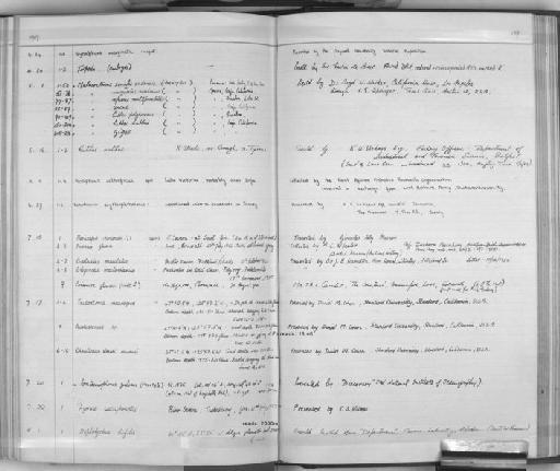 Chauliodus sloani macouni - Zoology Accessions Register: Fishes: 1937 - 1960: page 189