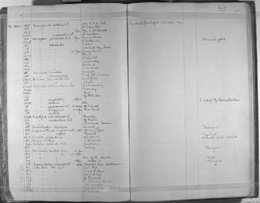 Polynoe scolopendrina Savigny, 1822 - Zoology Accessions Register: Annelida & Echinoderms: 1884 - 1923: page 247