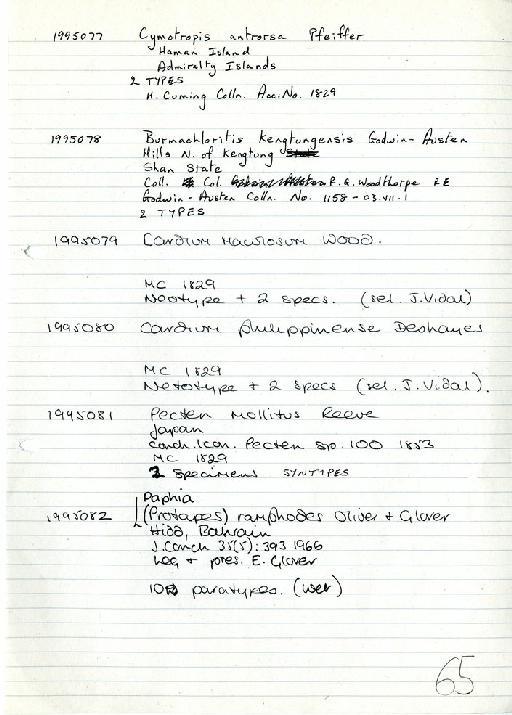 Cardium maculosum Wood - Zoology Accessions Register: Mollusca: 1994 - 1997: page 65