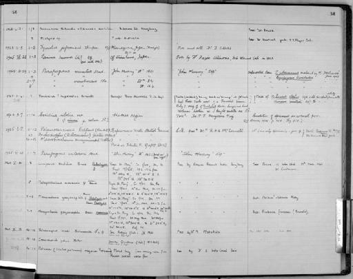 Linuparus sordidus Bruce, 1965 - Zoology Accessions Register: Crustacea: 1962 - 1969: page 56