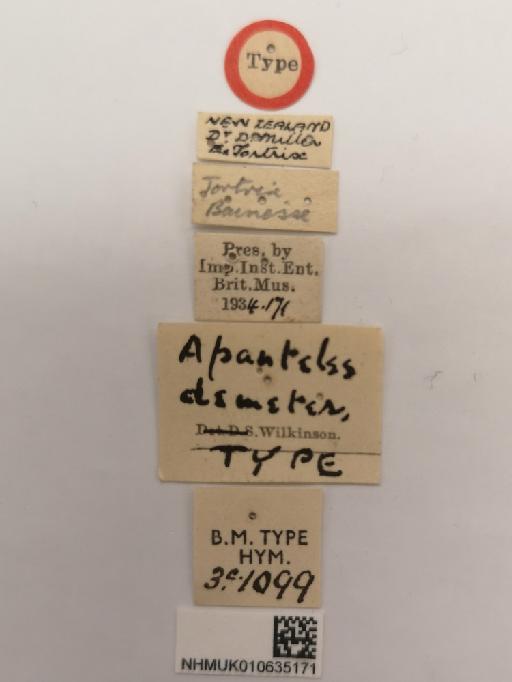 Apanteles demeter Wilkinson, 1934 - 010635171_Apanteles_demeter_holotype_labels