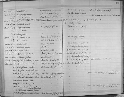 Polydora socialis Schmarda - Zoology Accessions Register: Annelida & Echinoderms: 1924 - 1936: page 266