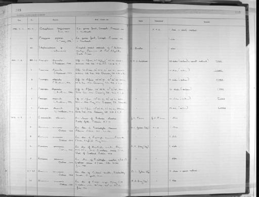 Hemiurus communis Odhner, 1905 - Zoology Accessions Register: Platyhelminth: 1981 - 1987: page 115