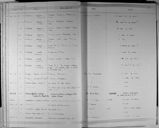 Choerocotyloides onotragi Prudhoe, Yeh & Khalil, 1964 - Zoology Accessions Register: Platyhelminth: 1971 - 1981: page 22