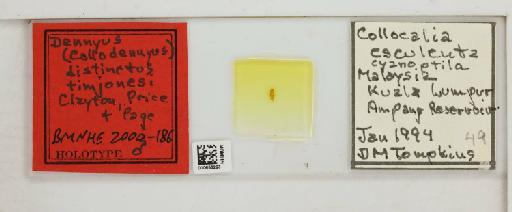 Dennyus (Collodennyus) distinctus timjonesi Clayton, Price & Page, 1996 - 010656223_816398_1432064
