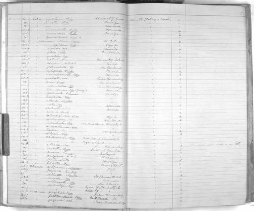 Helix labillardierei subterclass Tectipleura E. A. Smith, 1884 - Zoology Accessions Register: Mollusca: 1884 - 1893: page 7