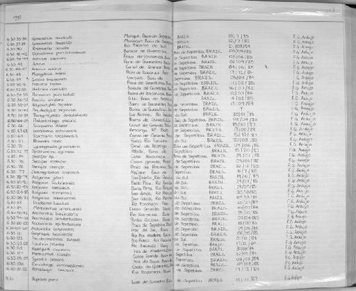 Pomadasys corvinaeformis Steindachner, 1868 - Zoology Accessions Register: Fishes: 1986 - 1994: page 127